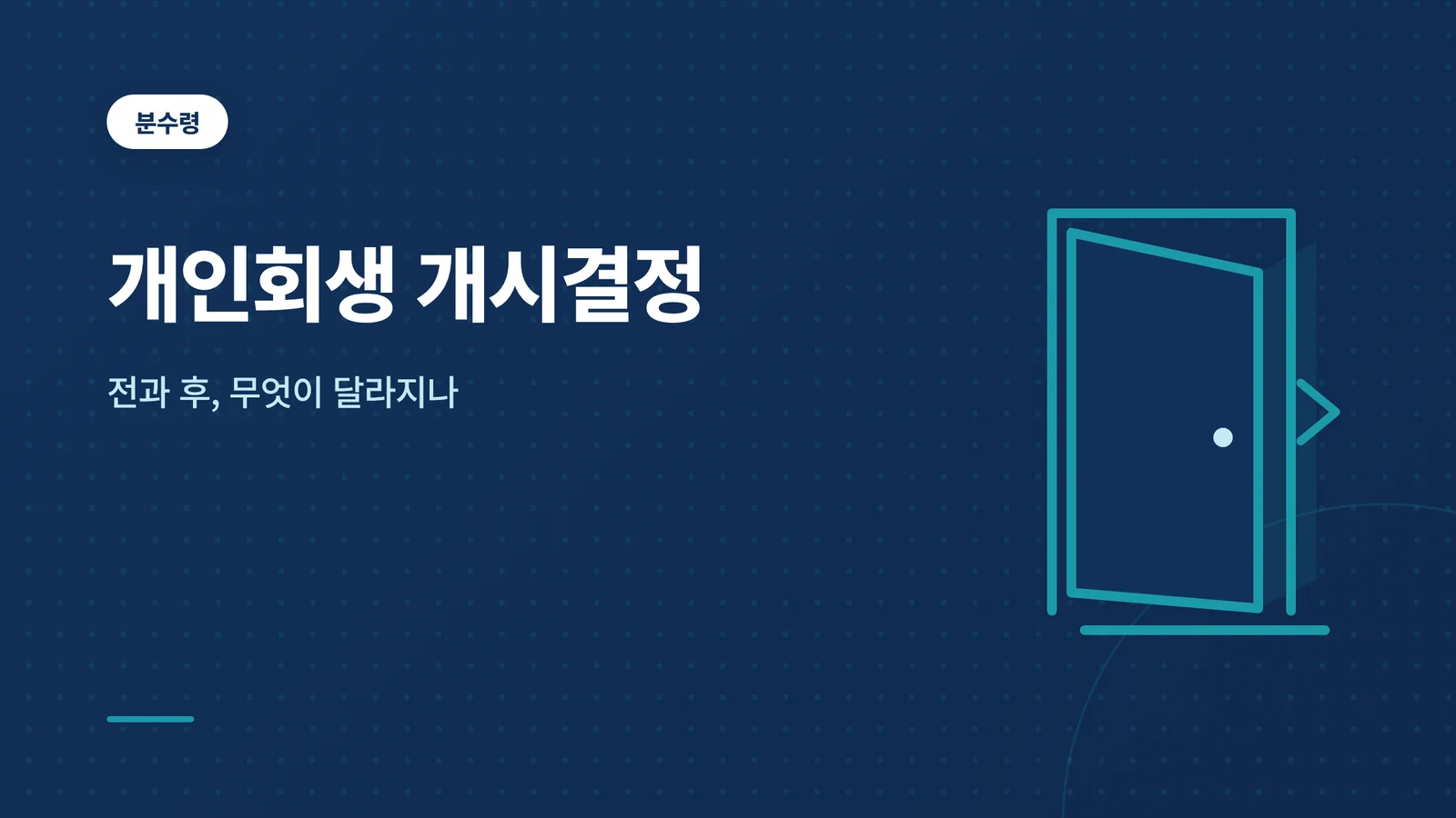 개인회생 개시결정